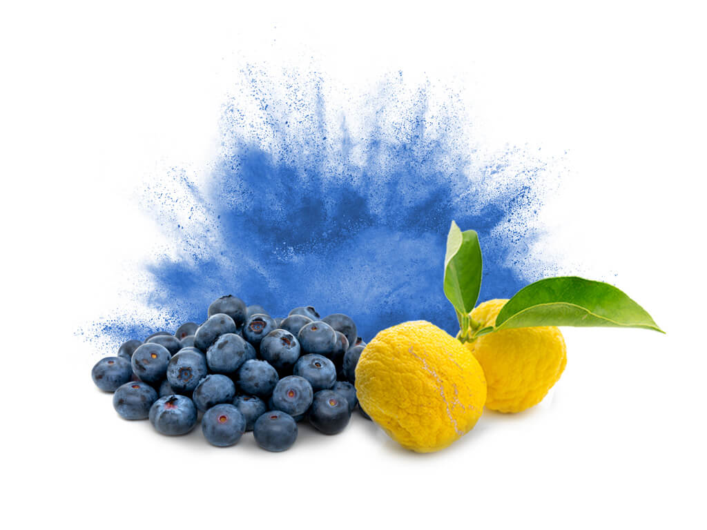 blueberry yazu
