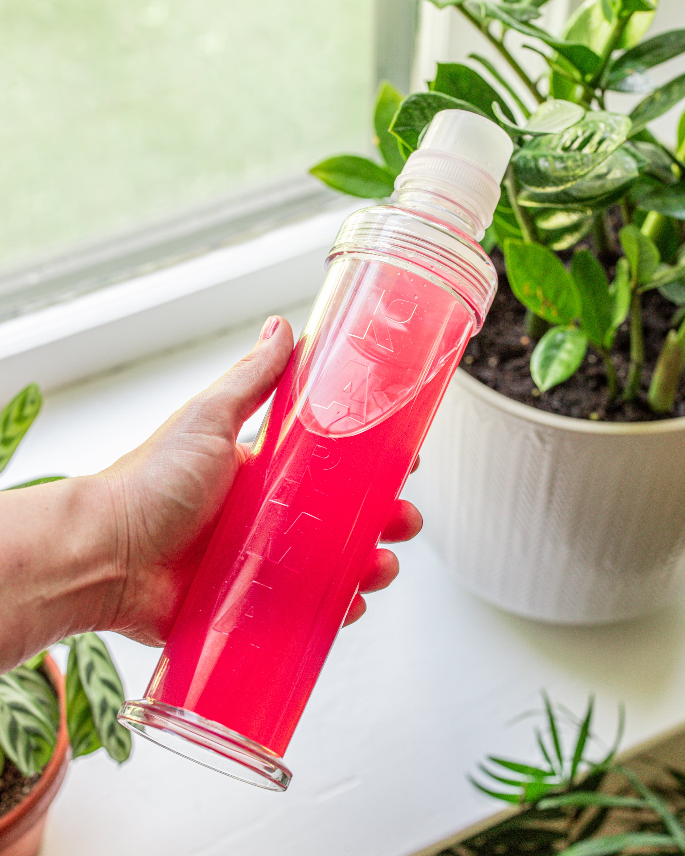 Hand holding Karma reusable bottle near window and plants